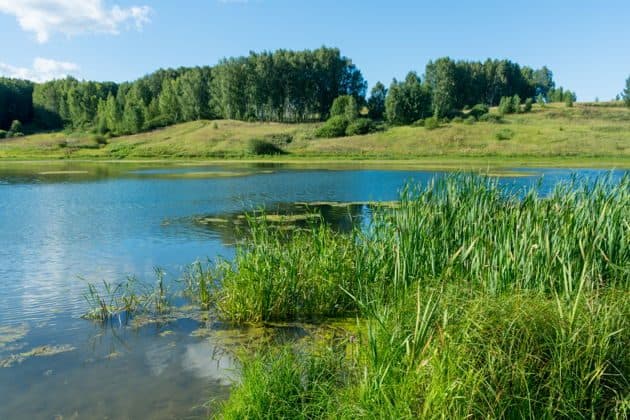 Экскурсия в Керженский заповедник