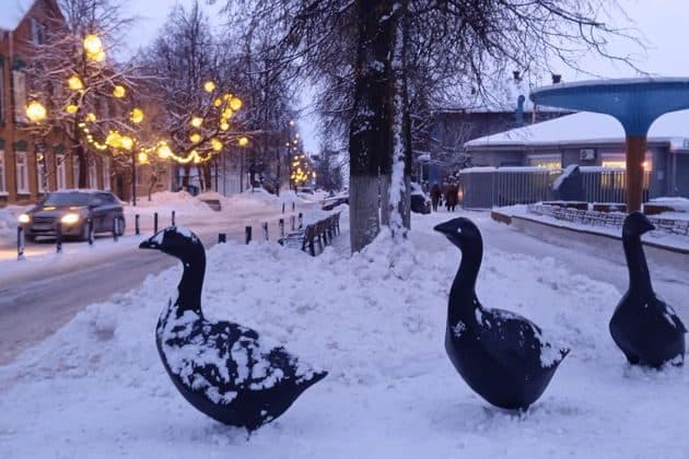 По следам арзамасского гуся